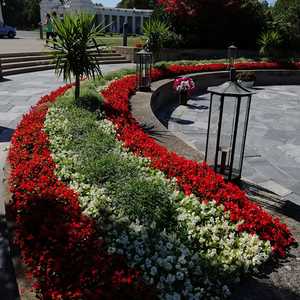 Pfarrausflug nach Wien