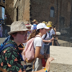 Blick auf das Forum Romanum