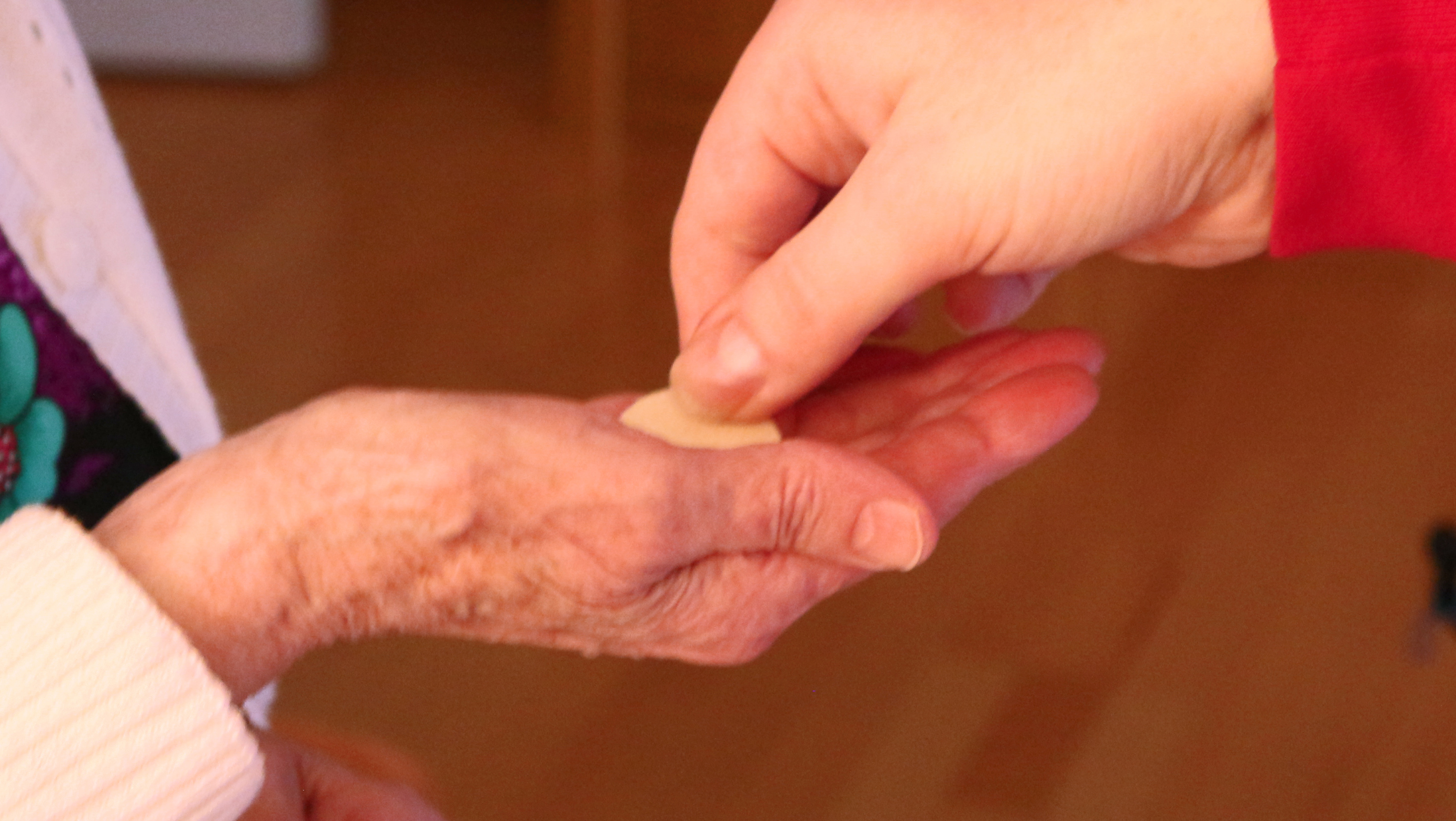 PETER WEIDEMANN - ERFURT, Peter Weidemann