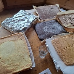 13 Blechkuchen sind bereit.