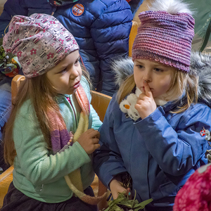 Palmweihe wird zu einem lebendigen Gottesdienst.