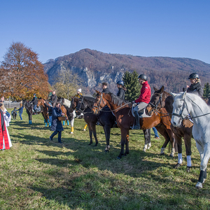 Unser Pfarrfest am Martinisonntag
