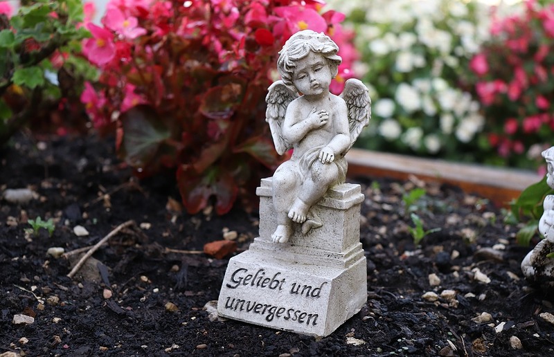 Bild von zandy126 auf Pixabay